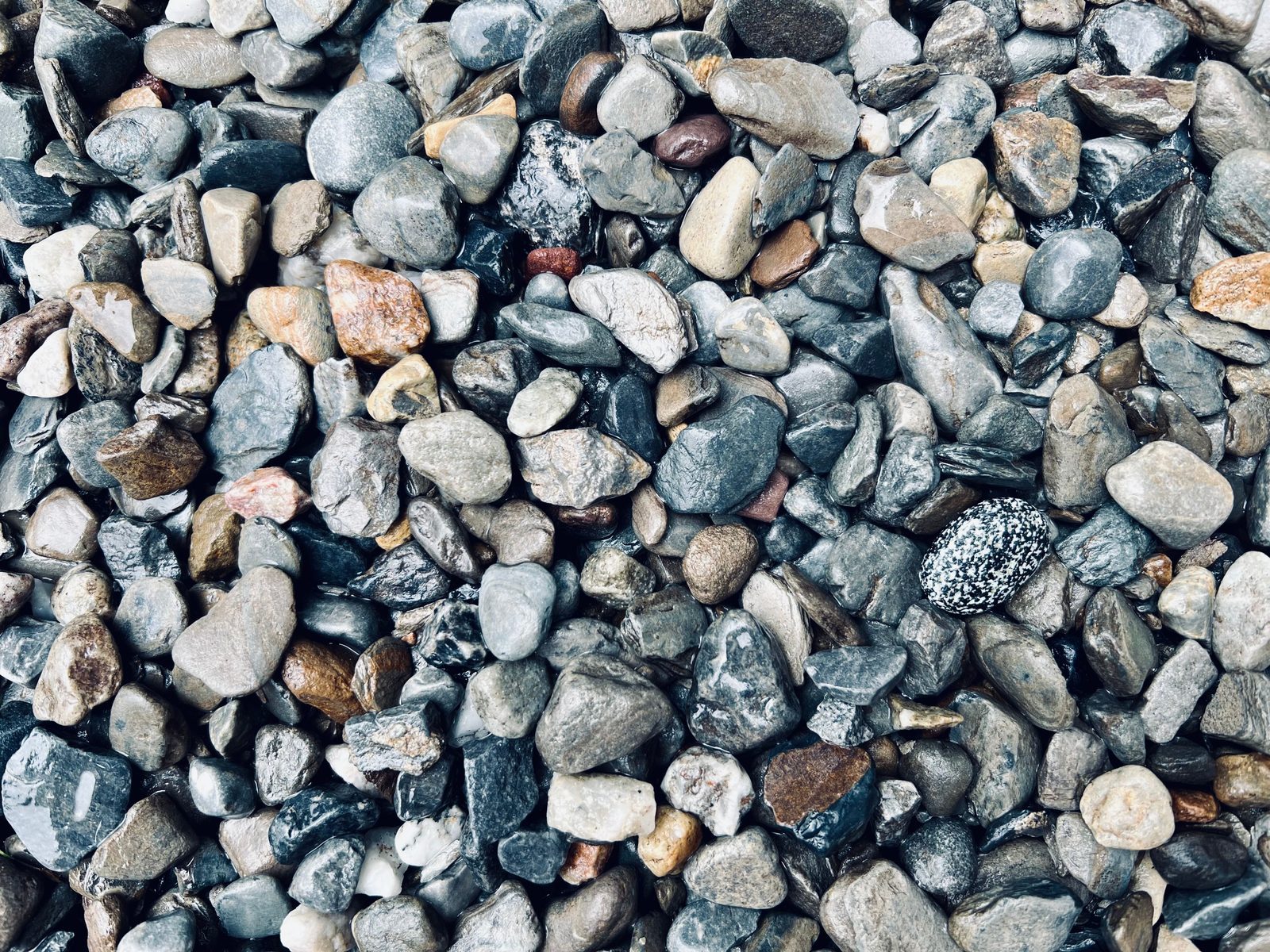 Colorful tile fragments